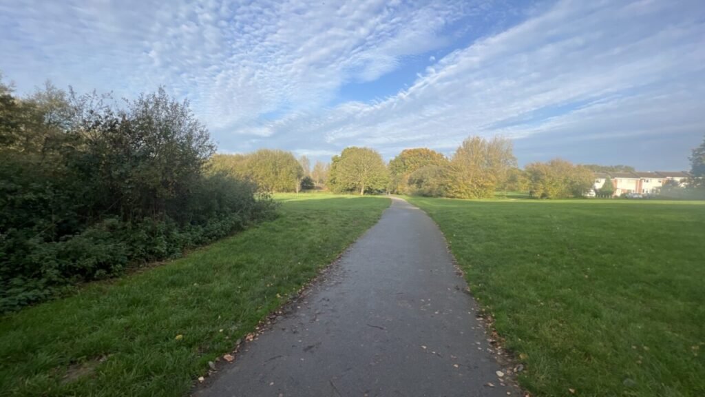 Top Dog Walks to Explore in Essex