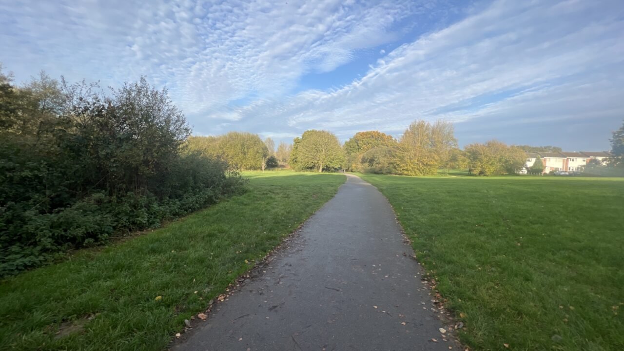 Top Dog Walks to Explore in Essex